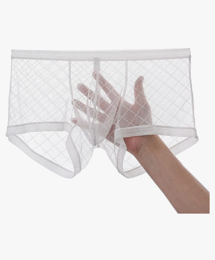 Men's Mesh See Through Boxer Briefs, Sheer Lace Underwear